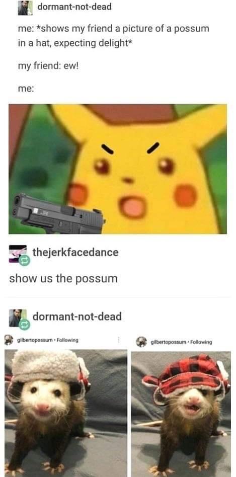 i dormant not dead me shows my friend a picture of a possum in a hat expecting delight my friend ew me thejerkfacedance show us the possum dormant not dead re POR