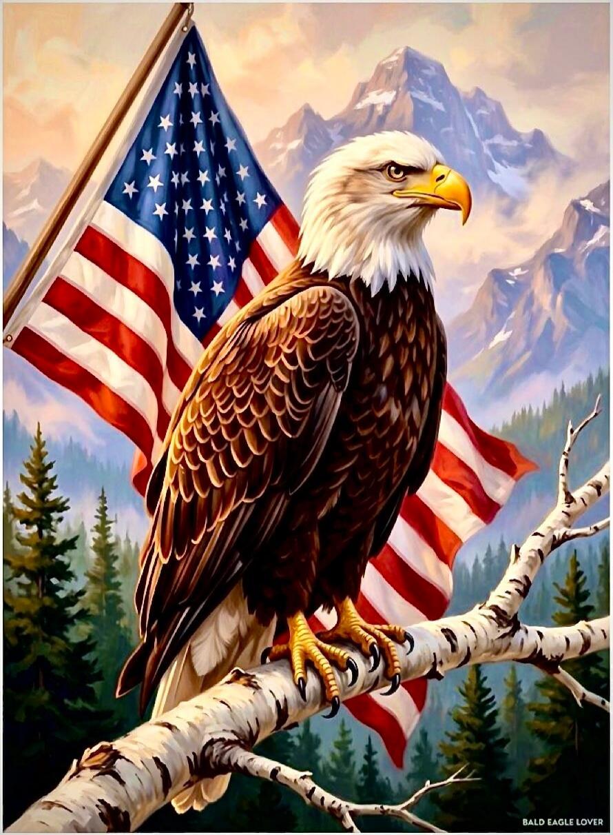 BALD EAGLE LOVER
