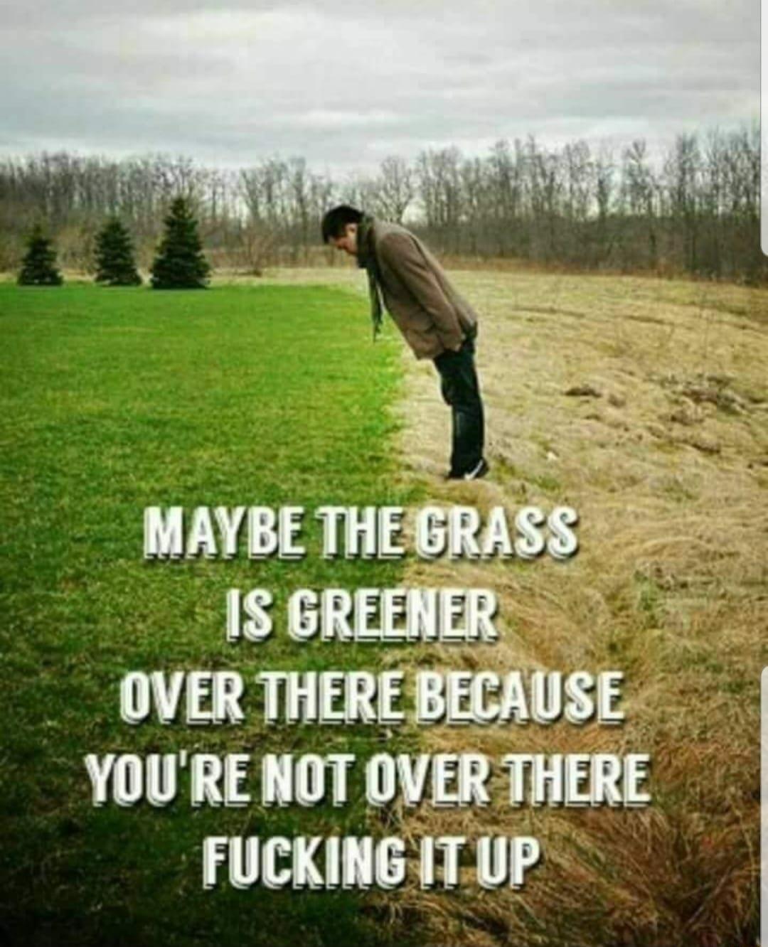 MAYBE THEGRASS IS GREENER OVER THEREBECAUSE YOURE NOT OVER THERE FUCKINGITUP