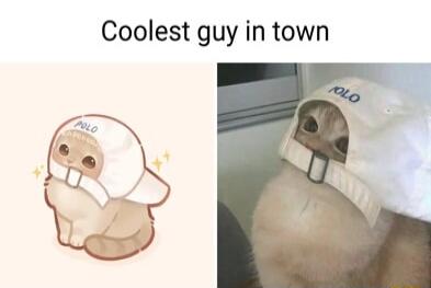 Coolest guy in town