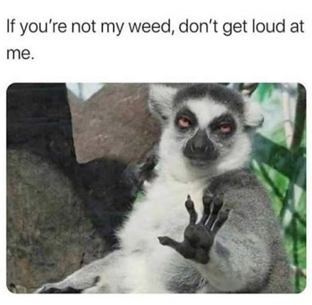 If you're not my weed, don't get loud at me.
