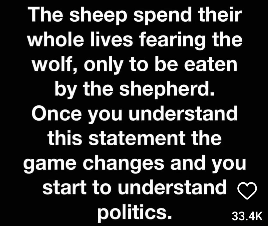 The sheep spend their whole lives fearing the wolf, only to be eaten by the shepherd. Once you understand this statement the game changes and you start to understand politics.