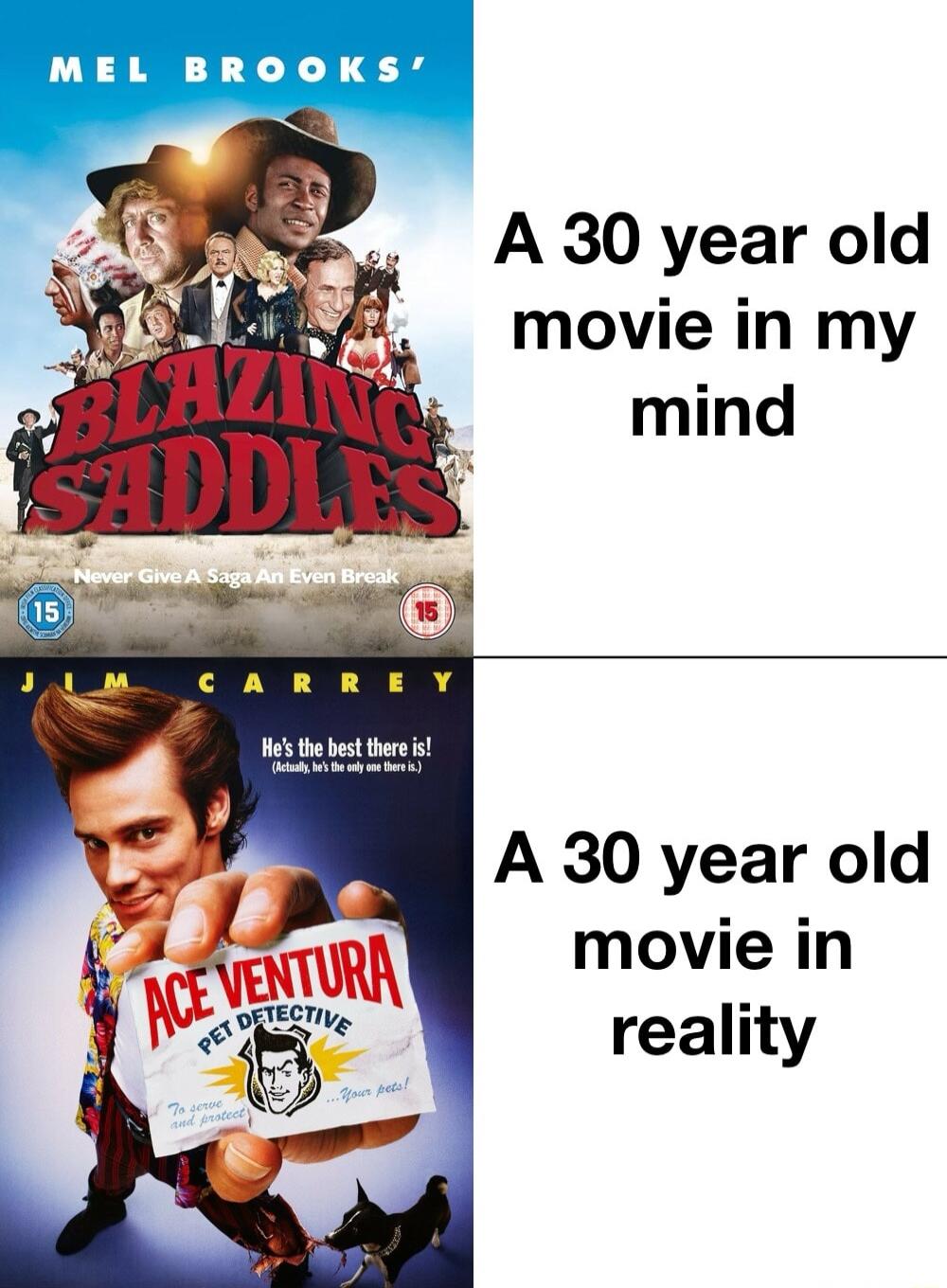MEL BROOKS A 30 year old movie in my A 30 year old movie in reality
