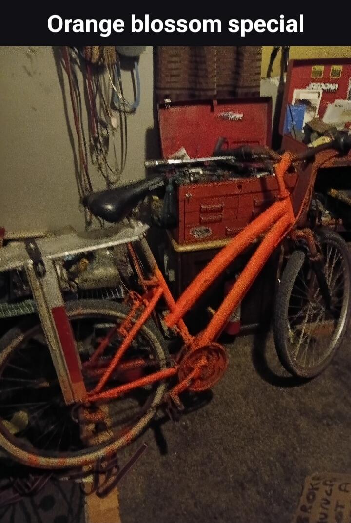 Orange blossom special