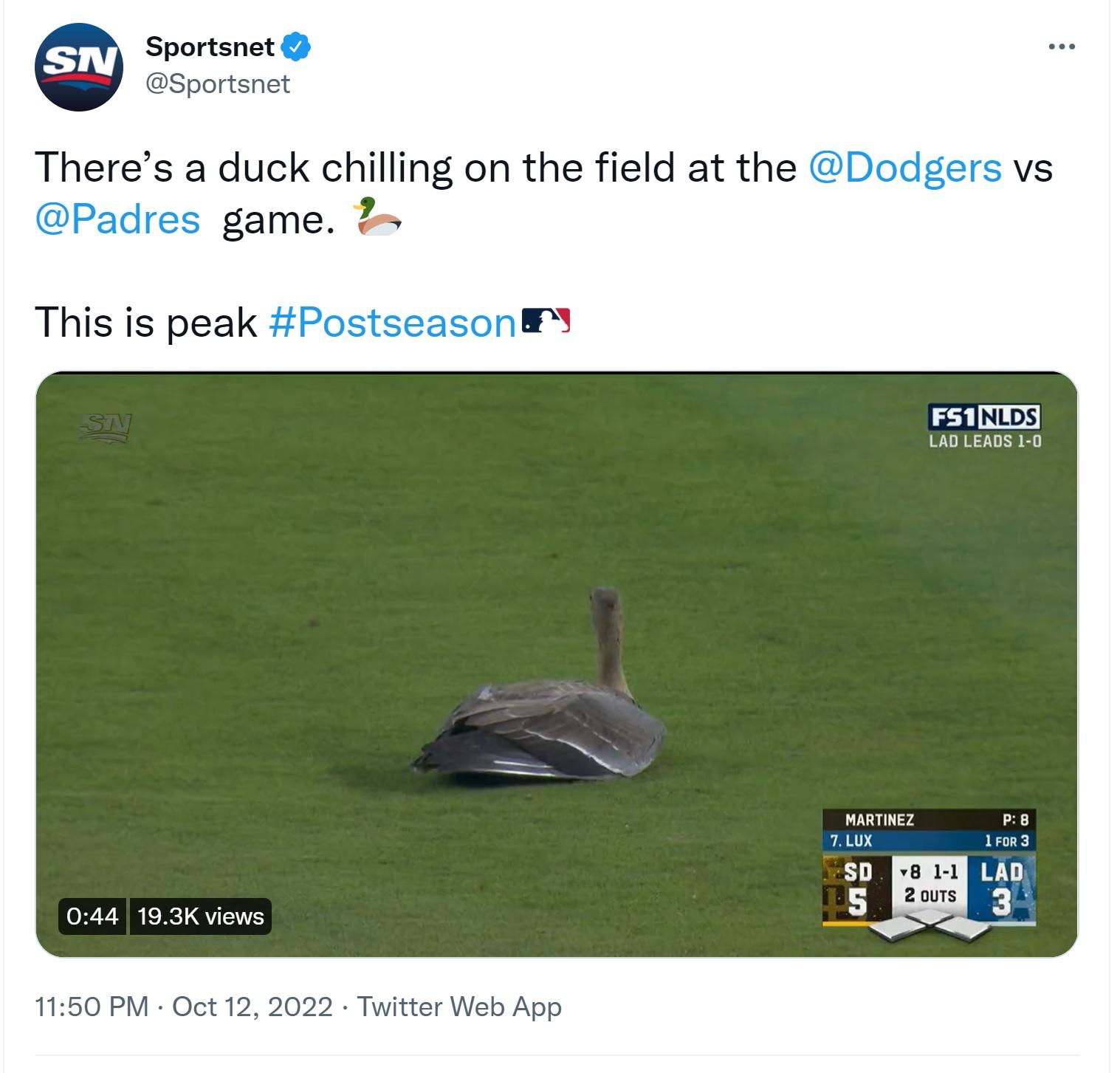 Sportsnet Theres a duck chilling on the field at the Dodgers vs Padres game This is peak Postseason