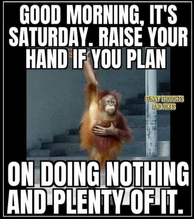 GOOD MORNING, IT'S SATURDAY. RAISE YOUR HAND IF YOU PLAN ON DOING NOTHING AND PLENTY OF IT. FUNNY THOUGHTS AND JOKES