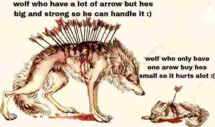 wolf who have a lot of arrow but hes big and strong so he can handle it S Yy