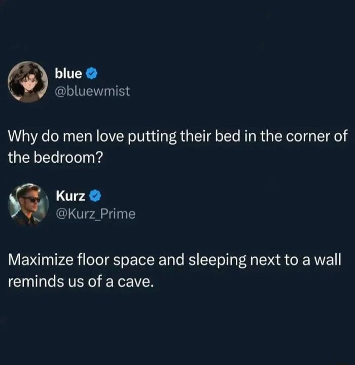 blue bluewmist Why do men love putting their bed in the corner of the bedroom Kurz 5 Kurz Prime Maximize floor space and sleeping next to a wall GO ELEIT