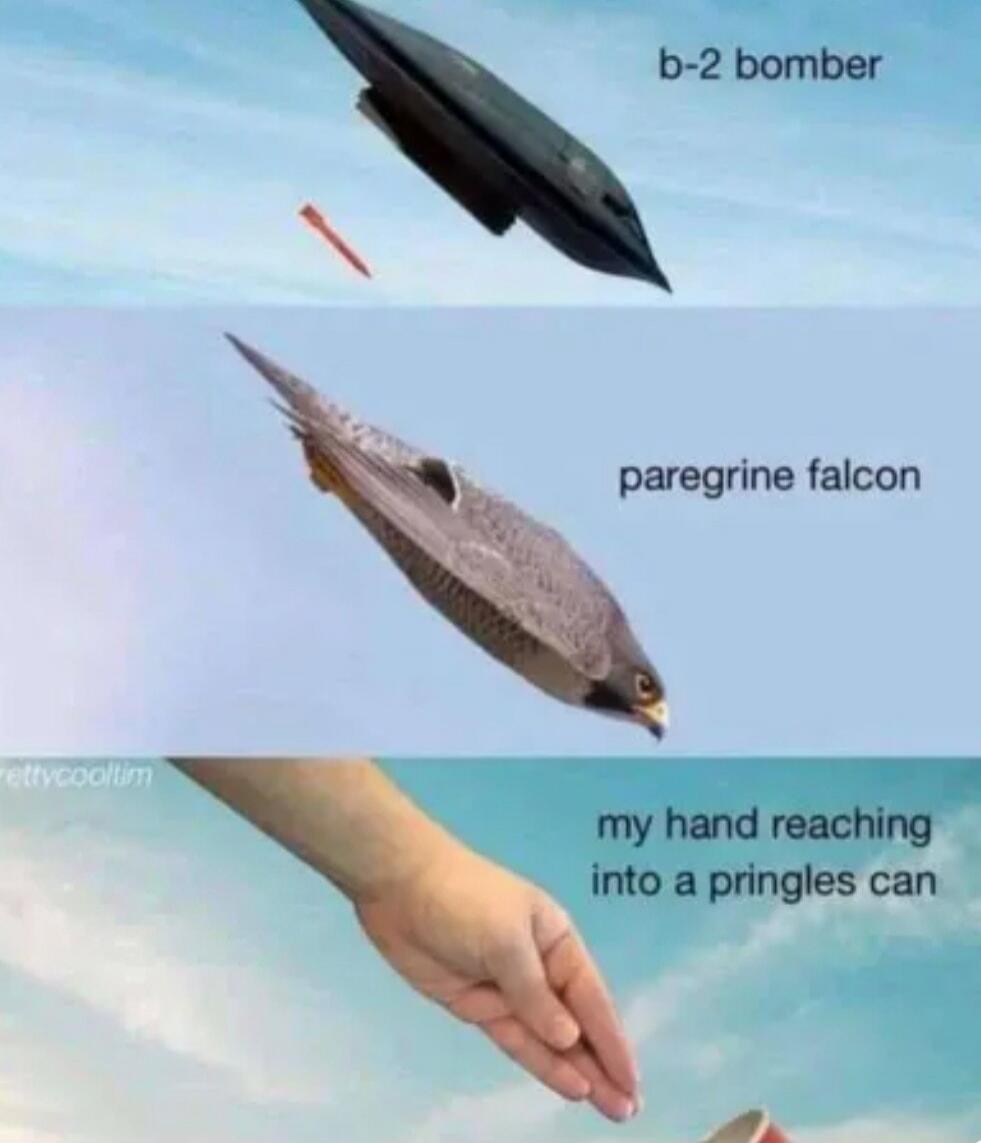 b-2 bomber paregrine falcon my hand reaching into a pringles can prettycooltim