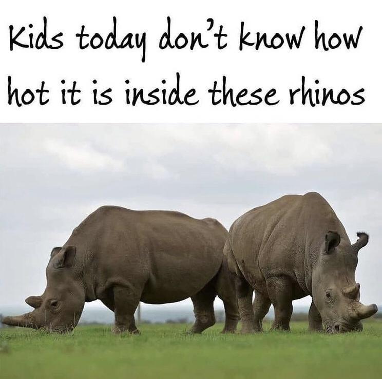 Kids toalaq dort know how hot it is inside these rhinos