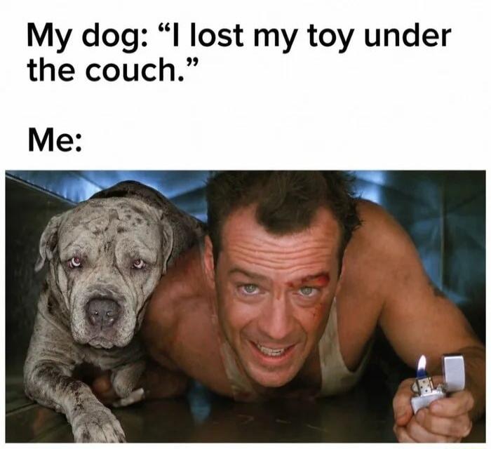 My dog: 