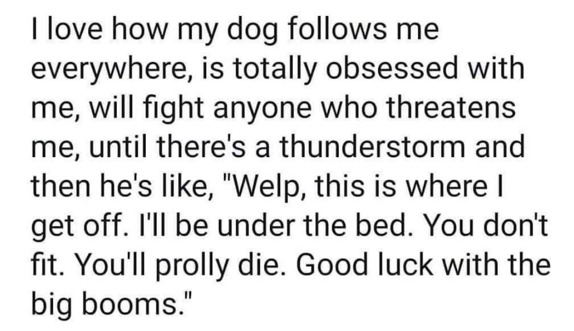 love how my dog follows me everywhere is totally obsessed with me will fight anyone who threatens me until theres a thunderstorm and then hes like Welp this is where get off Ill be under the bed You dont fit Youll prolly die Good luck with the big booms