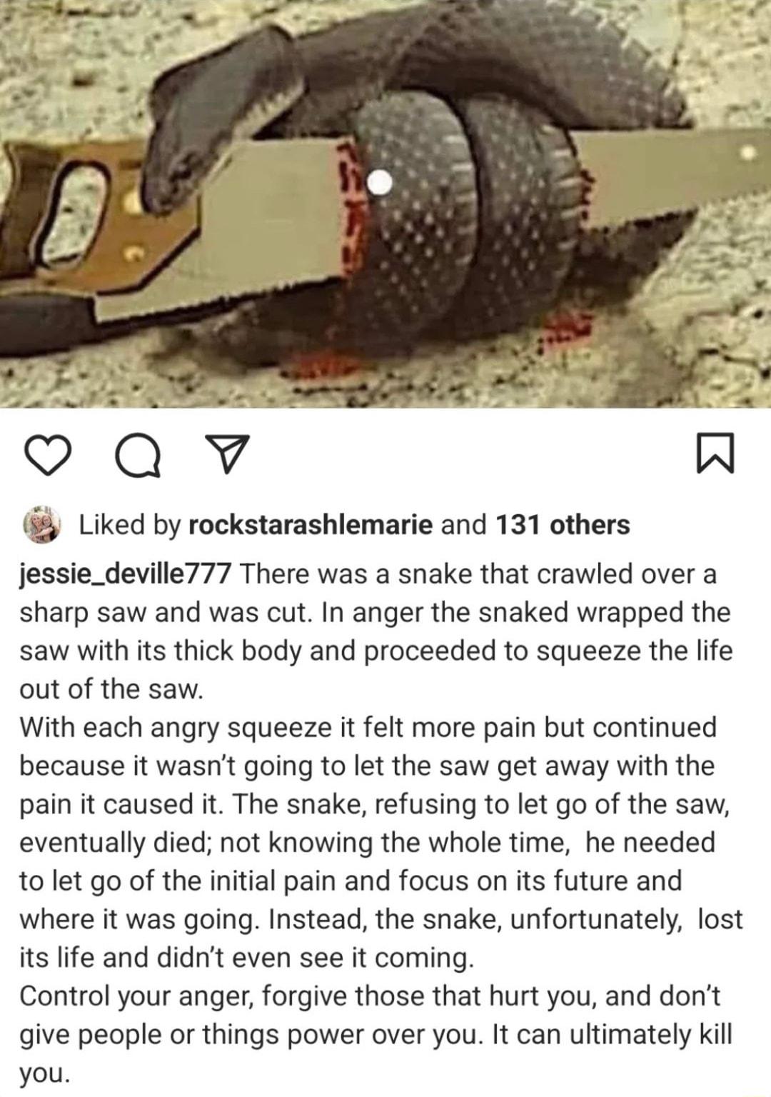 xg Liked by rockstarashlemarie and 131 others jessie_deville777 There was a snake that crawled over a sharp saw and was cut In anger the snaked wrapped the saw with its thick body and proceeded to squeeze the life out of the saw With each angry squeeze it felt more pain but continued because it wasnt going to let the saw get away with the pain it caused it The snake refusing to let go of the saw e