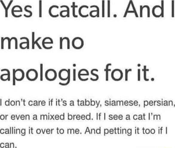 Yes catcall And make no apologies for it dont care if its a tabby siamese persian or even a mixed breed If see a cat Im calling it over to me And petting it too if can