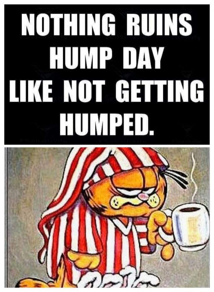 NOTHING RUINS HUMP DAY LIKE NOT GETTING HUMPED.