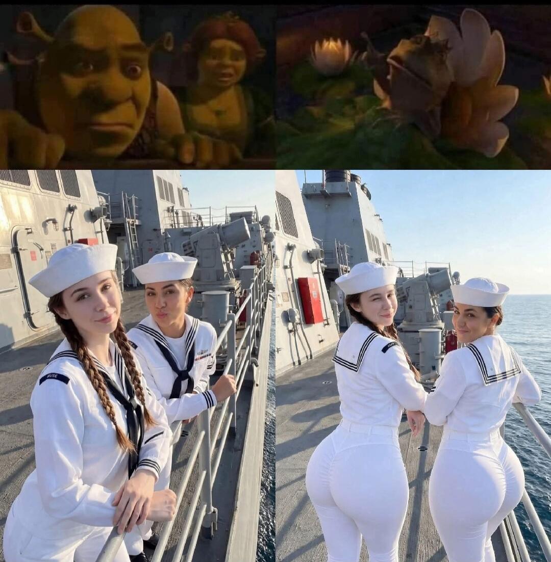 No discernible text or speech in the image. The top panel shows Shrek and Fiona looking surprised, and a frog looking at a flower. The bottom panel shows two women in sailor uniforms on a ship, with a focus on their figures from the front and back.