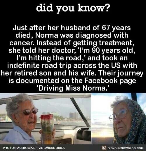 Did you know? Just after her husband of 67 years died, Norma was diagnosed with cancer. Instead of getting treatment, she told her doctor, 'I'm 90 years old, I'm hitting the road,' and took an indefinite road trip across the US with her retired son and his wife. Their journey is documented on the Facebook page 'Driving Miss Norma.'