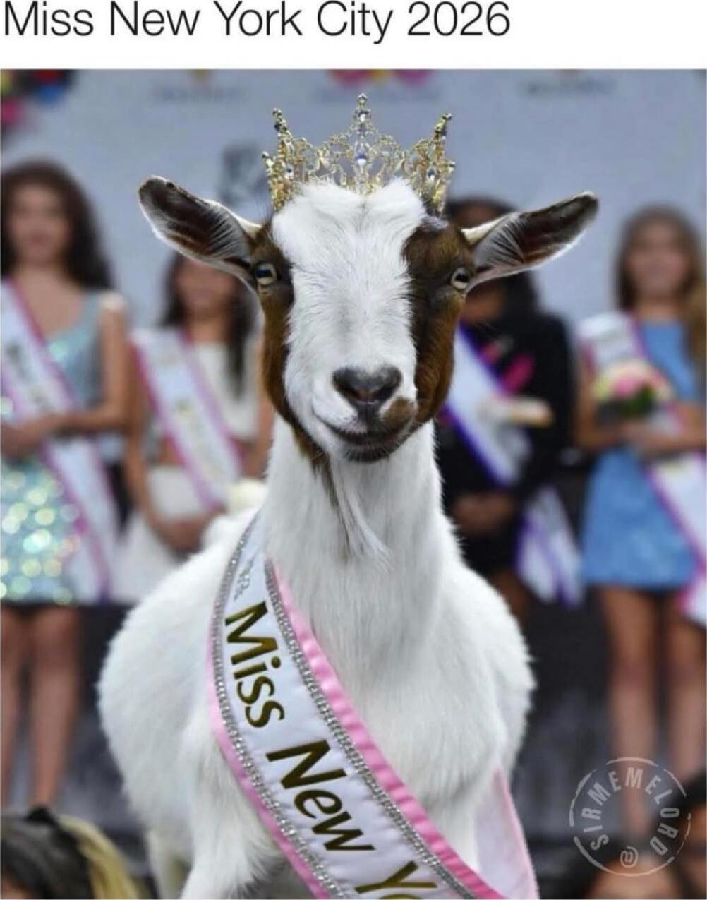 Miss New York City 2026