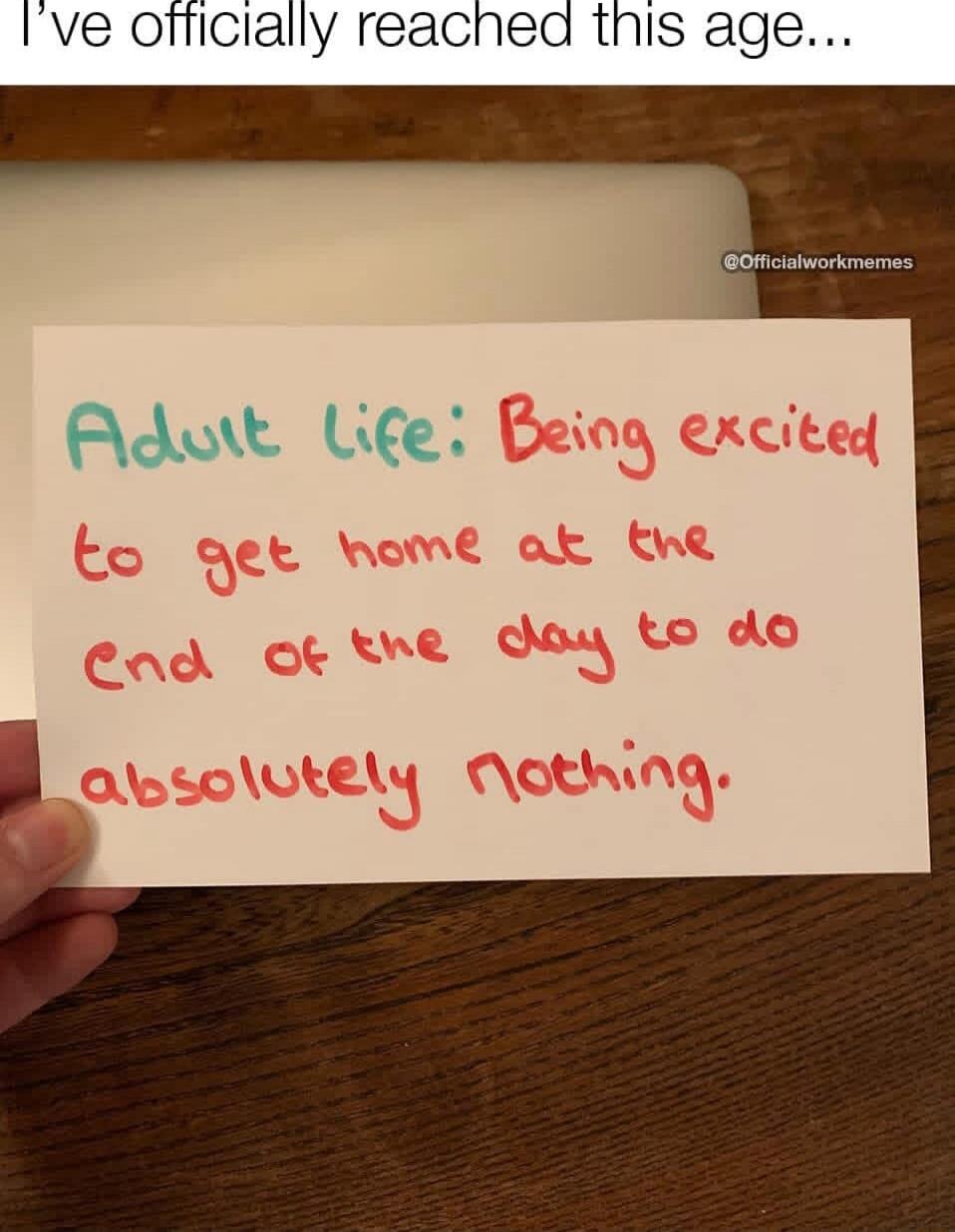Adult Life: Being excited to get home at the end of the day to do absolutely nothing.