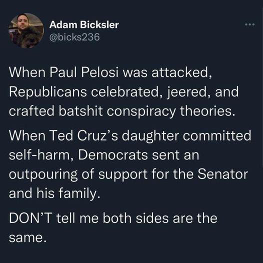 S8 Adam Bicksler bicks236 When Paul Pelosi was attacked RETeV o TeETaENI ol To M TETETETo T crafted batshit conspiracy theories When Ted Cruzs daughter committed self harm Democrats sent an outpouring of support for the Senator LI ISR ETnIYA DONT tell me both sides are the TR
