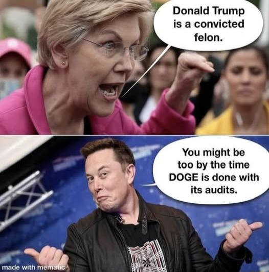Donald Trump is a convicted You might be too by the time DOGE is done with its audits