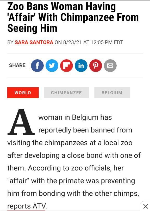 Zoo Bans Woman Having Affair With Chimpanzee From Seeing Him BY SARA SANTORA ON 82321 AT 1205 PM EDT A woman in Belgium has reportedly been banned from visiting the chimpanzees at a local zoo after developing a close bond with one of them According to zoo officials her affair with the primate was preventing him from bonding with the other chimps reports ATV