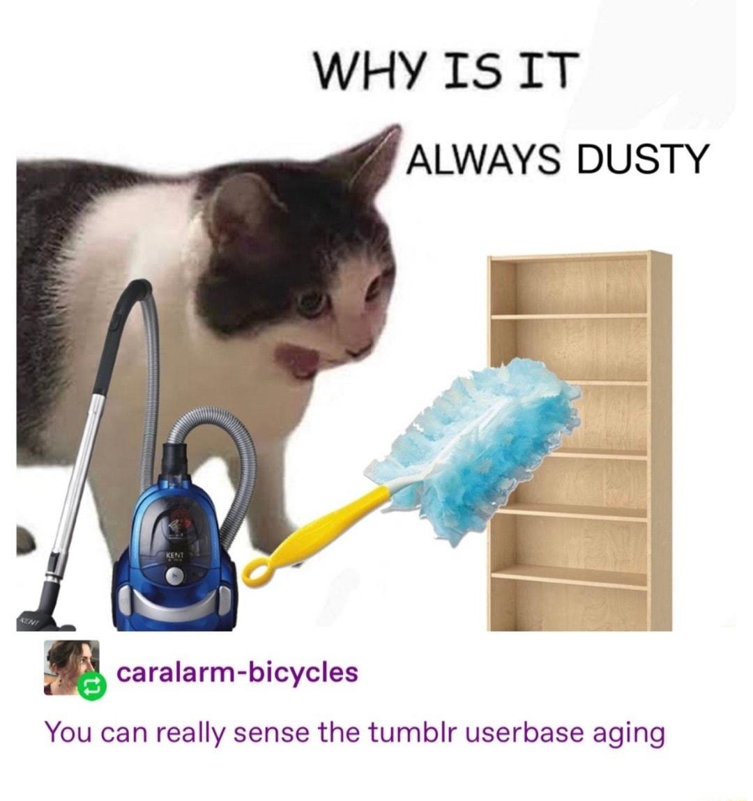 dankmemeuniversity WHY ISIT ALWAYS DUSTY caralarm bicycles You can really sense the tumblr userbase aging