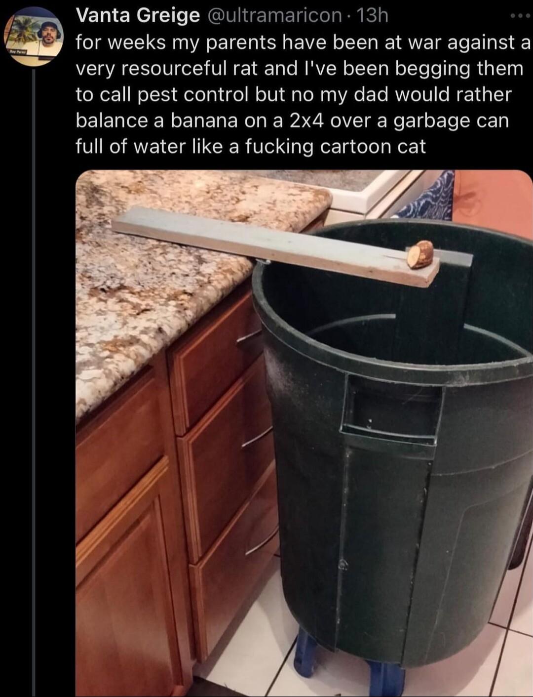 Vanta Greige ultramaricon 13h for weeks my parents have been at war against a very resourceful rat and Ive been begging them to call pest control but no my dad would rather balance a banana on a 2x4 over a garbage can full of water like a fucking cartoon cat