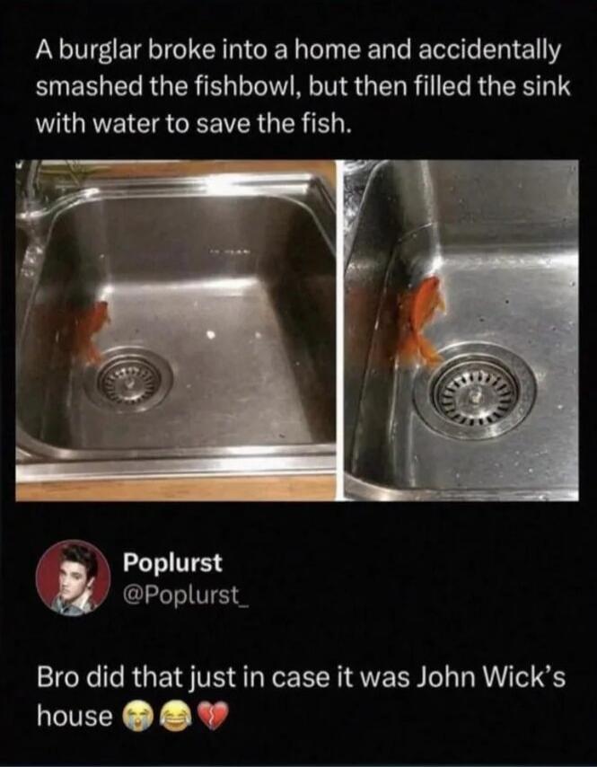 A burglar broke into a home and accidentally smashed the fishbowl, but then filled the sink with water to save the fish. Bro did that just in case it was John Wick's house.