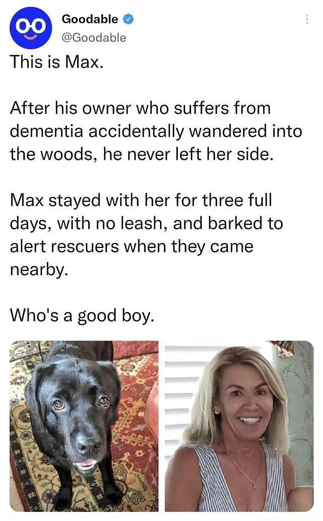 Goodable Goodable This is Max After his owner who suffers from dementia accidentally wandered into the woods he never left her side Max stayed with her for three full days with no leash and barked to alert rescuers when they came nearby Whos a good boy