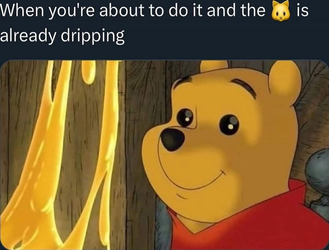 When you're about to do it and the 😺 is already dripping