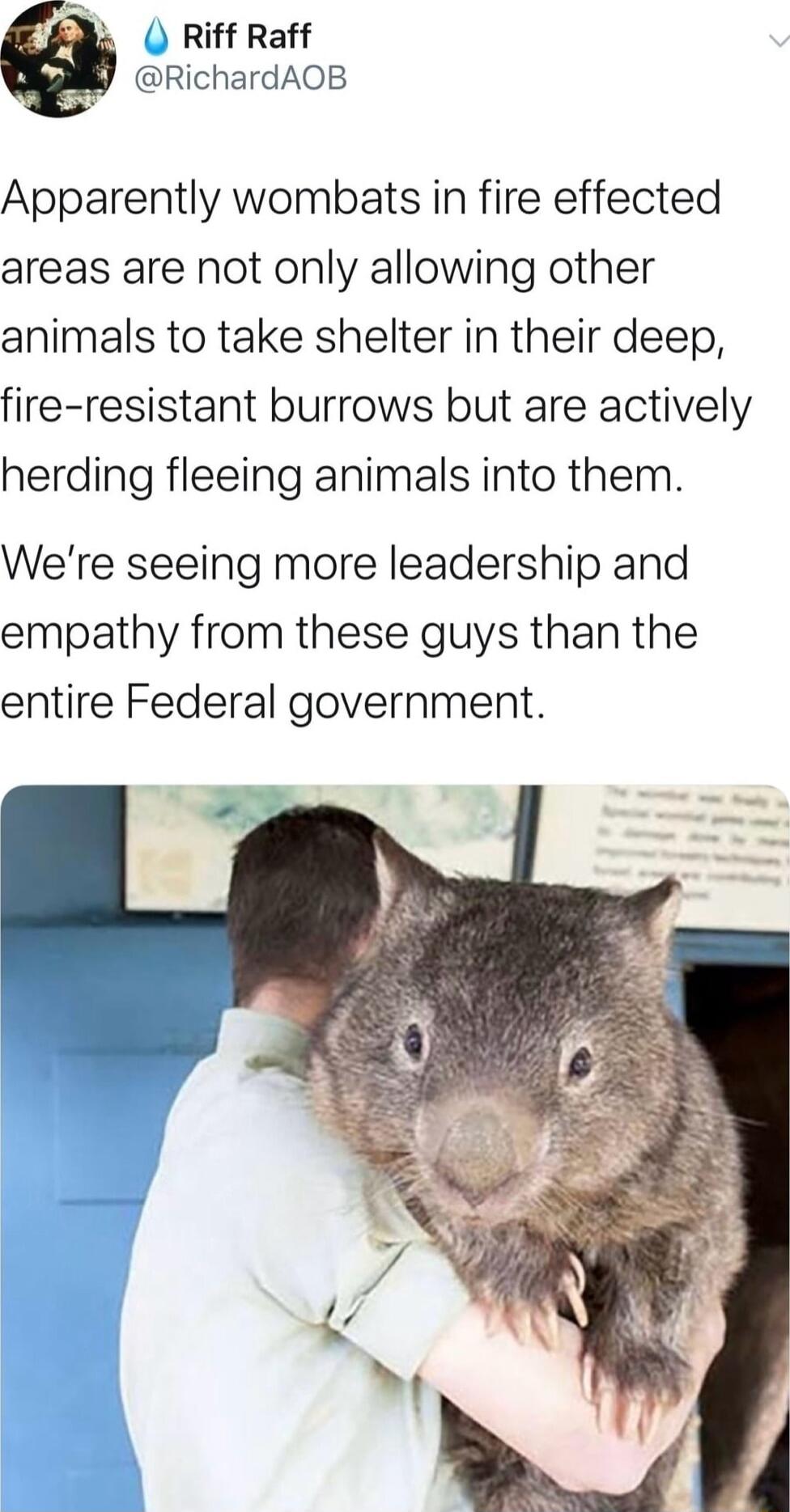 s Riff Raff RichardAOB Apparently wombats in fire effected areas are not only allowing other animals to take shelter in their deep fire resistant burrows but are actively herding fleeing animals into them Were seeing more leadership and empathy from these guys than the entire Federal government