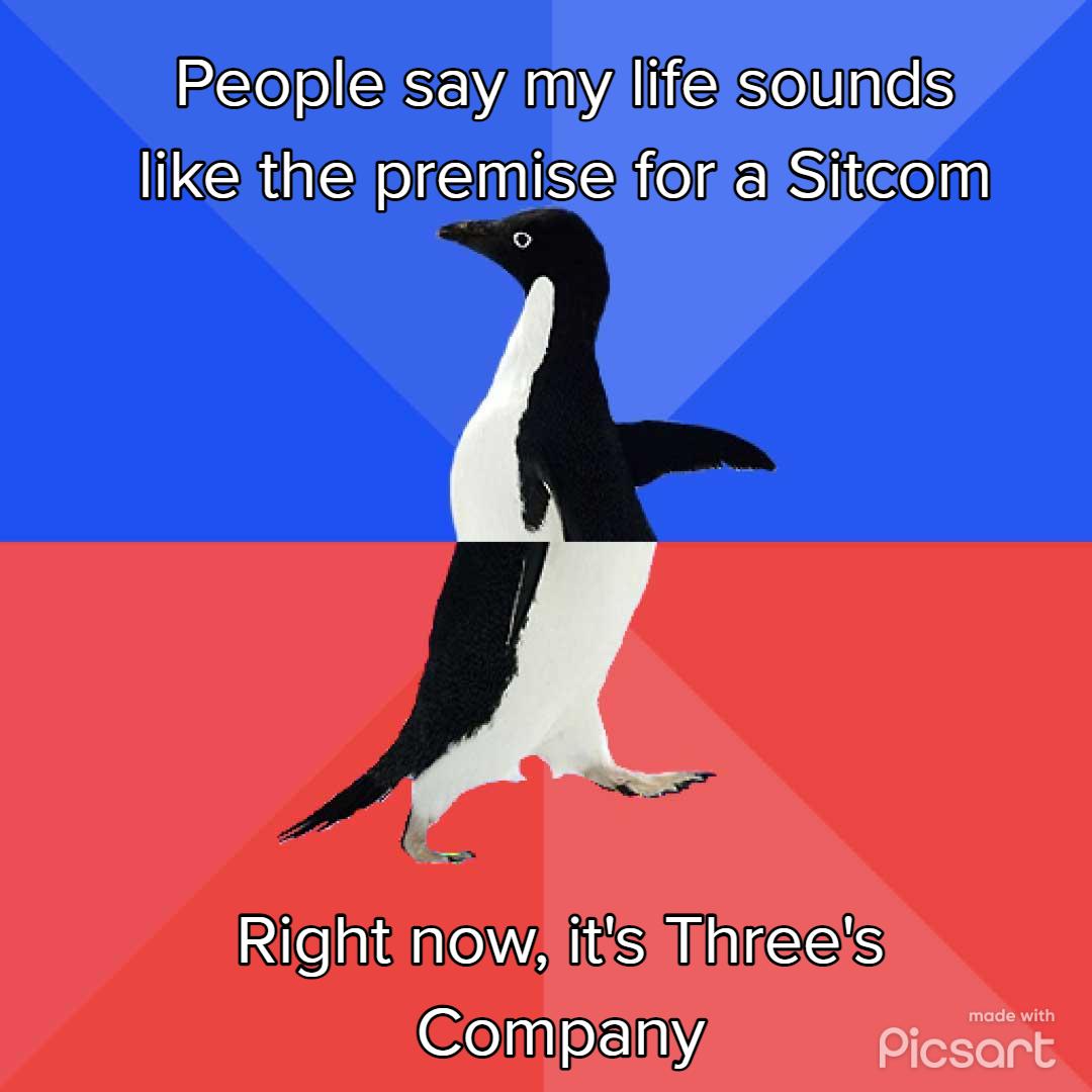 REC el i Seinels e el Shitcelnl Rienieaey S ThiEEs Company Picsart