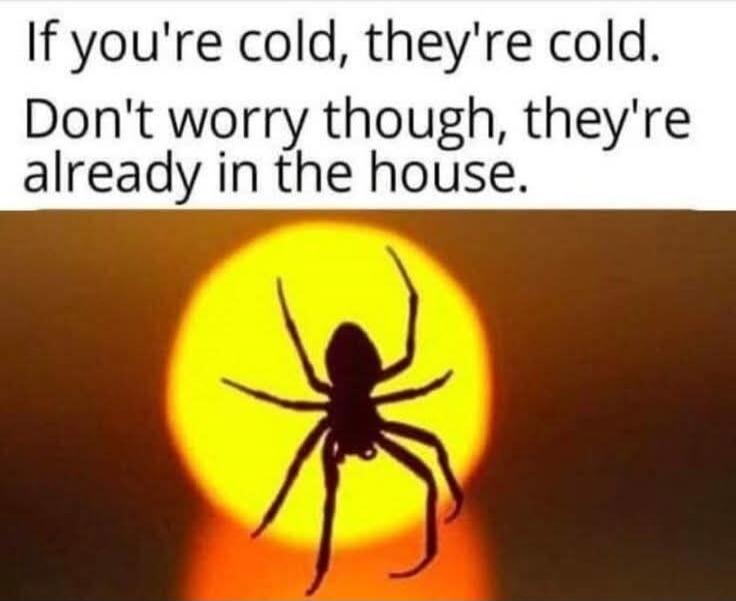 If you're cold, they're cold. Don't worry though, they're already in the house.