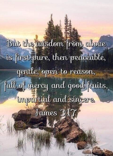 But the wisdom from above is first pure, then peaceable, gentle, open to reason, full of mercy and good fruits, impartial and sincere. James 3:17