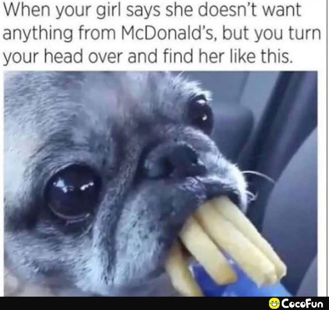 When your girl says she doesn't want anything from McDonald's, but you turn your head over and find her like this.