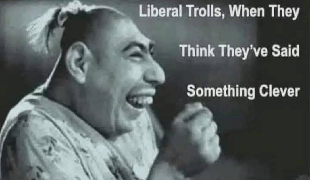 Liberal Trolls, When They Think They've Said Something Clever