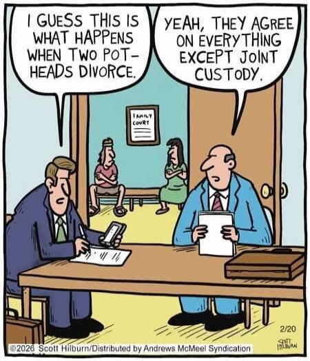 I GUESS THIS IS WHAT HAPPENS WHEN TWO POT-HEADS DIVORCE. YEAH, THEY AGREE ON EVERYTHING EXCEPT JOINT CUSTODY. FAMILY COURT