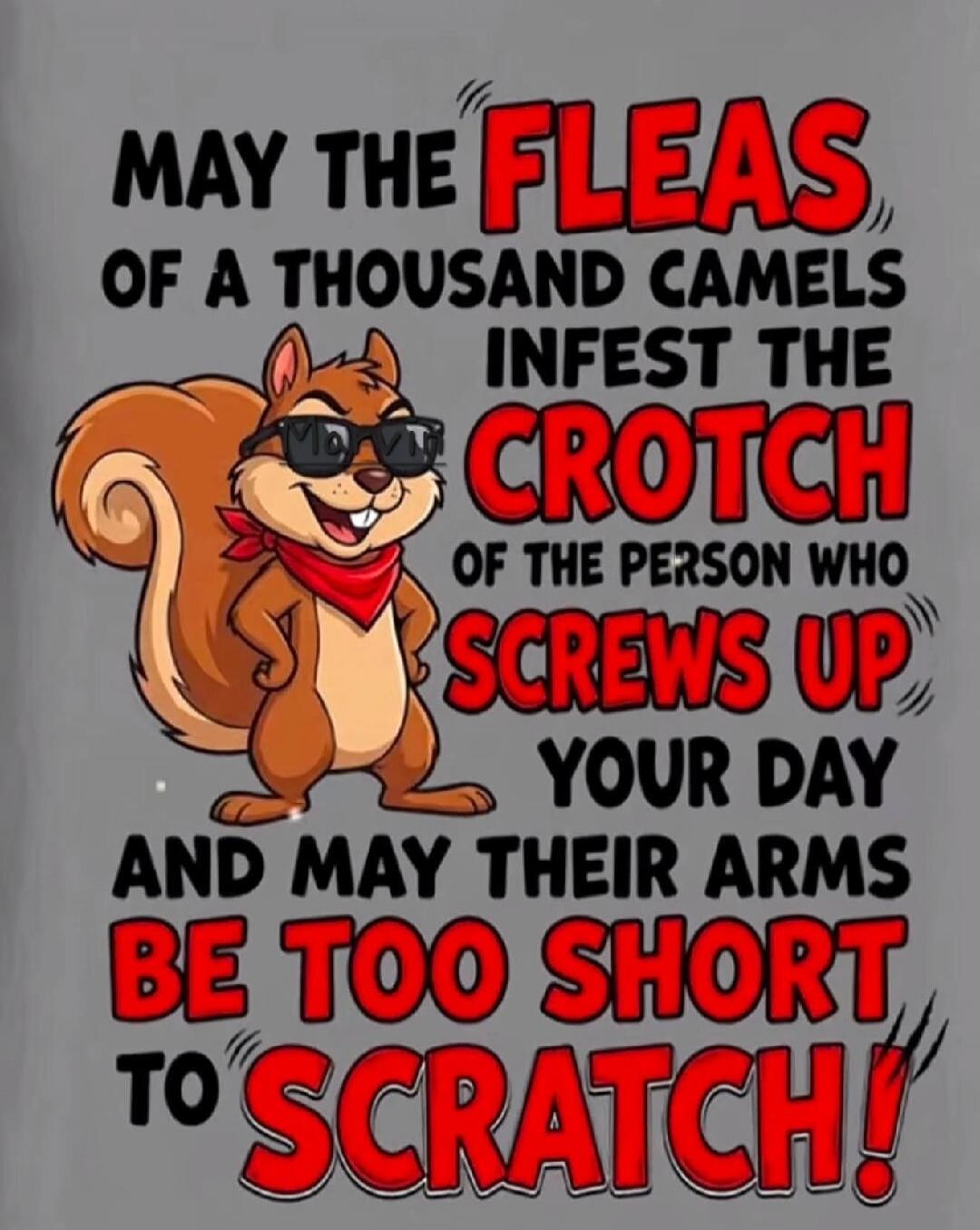 MAY THE FLEAS OF A THOUSAND CAMELS INFEST THE CROTCH OF THE PERSON WHO SCREWS UP YOUR DAY AND MAY THEIR ARMS BE TOO SHORT TO SCRATCH!
