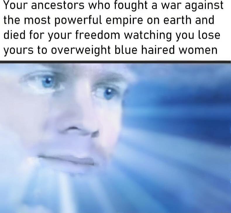 Your ancestors who fought a war against the most powerful empire on earth and died for your freedom watching you lose yours to overweight blue haired women