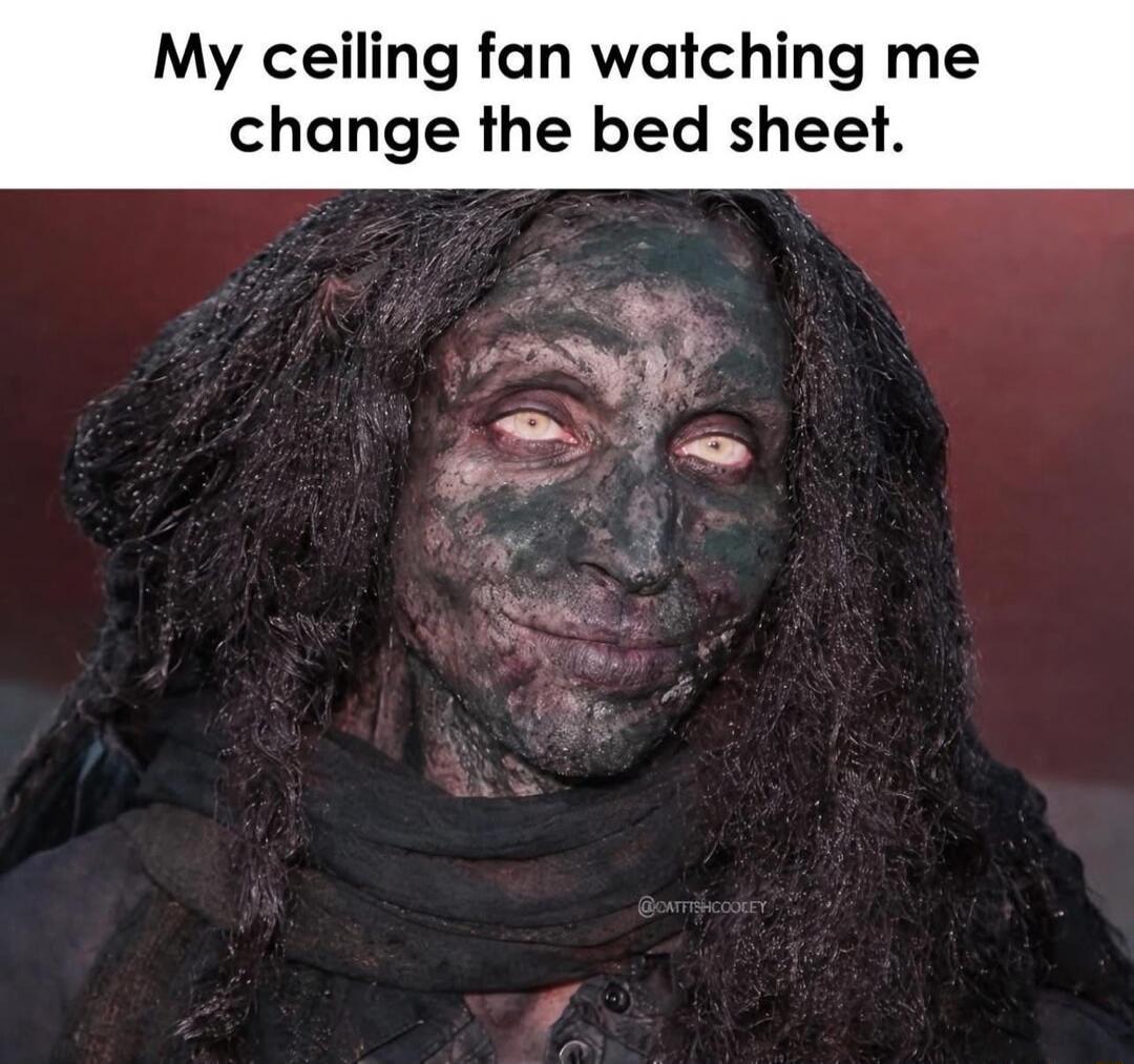 My ceiling fan watching me change the bed sheet.