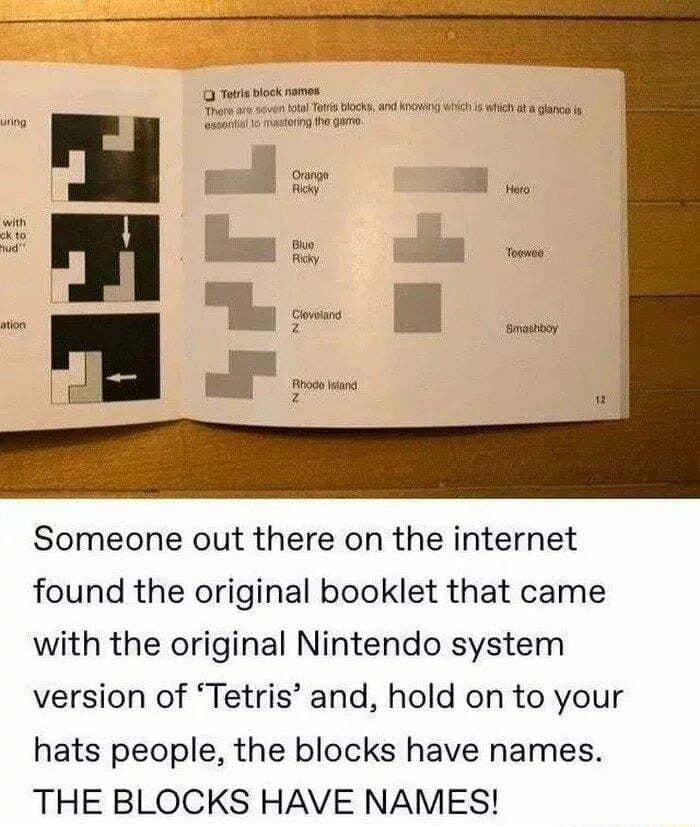 3 Tetr block names Someone out there on the internet found the original booklet that came with the original Nintendo system version of Tetris and hold on to your hats people the blocks have names THE BLOCKS HAVE NAMES