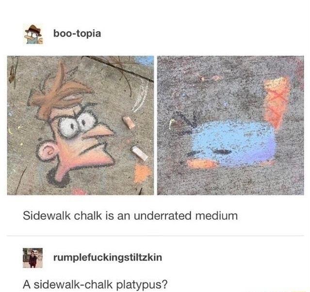 Sidewalk chalk is an underrated medium rumplefuckingstiltzkin A sidewalk chalk platypus