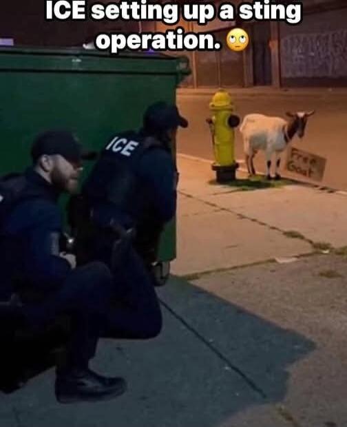 ICE setting up a sting operation. Two officers are crouching behind a dumpster, observing a goat with a 'Free Goat' sign next to a fire hydrant.