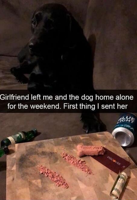 Girlfriend left me and the dog home alone for the weekend First thing sent her