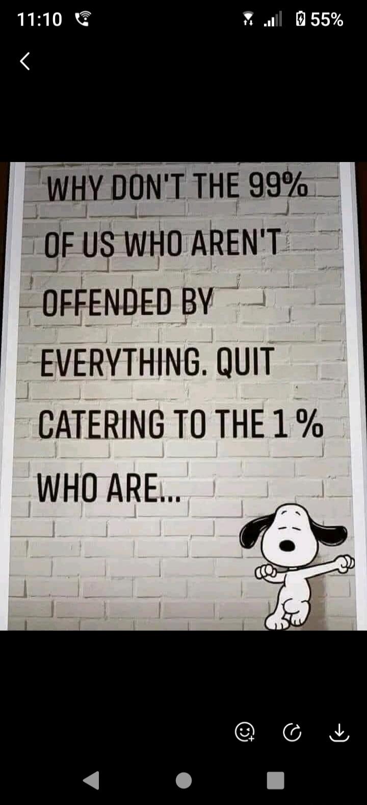 WHY DON'T THE 99% OF US WHO AREN'T OFFENDED BY EVERYTHING. QUIT CATERING TO THE 1% WHO ARE...