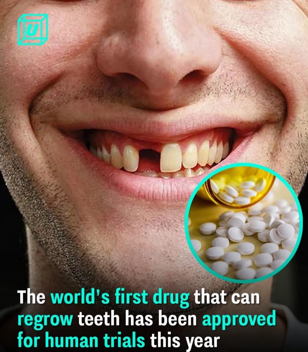that can teeth has been this year