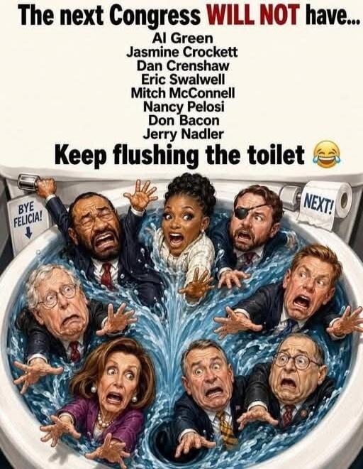 The next Congress WILL NOT have... Al Green Jasmine Crockett Dan Crenshaw Eric Swalwell Mitch McConnell Nancy Pelosi Don Bacon Jerry Nadler Keep flushing the toilet BYE FELICIA! NEXT!