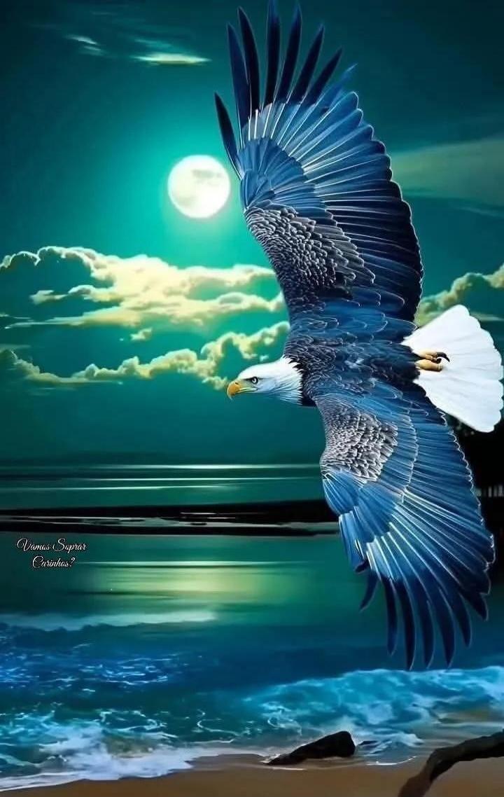 Vamos Soprar Carinhos?