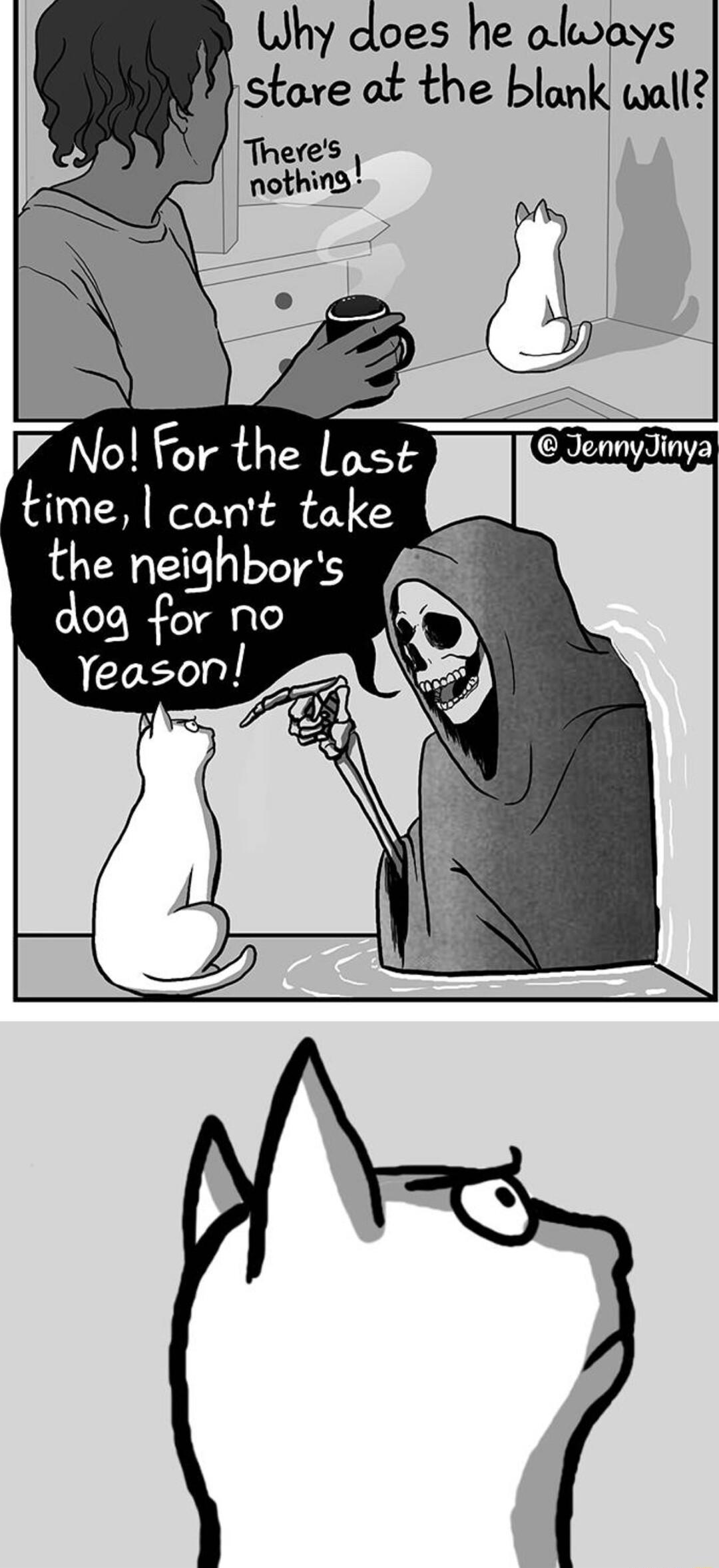 Why does he always tore at the blank wall the neighbors dog for no Yeason 8 Wi